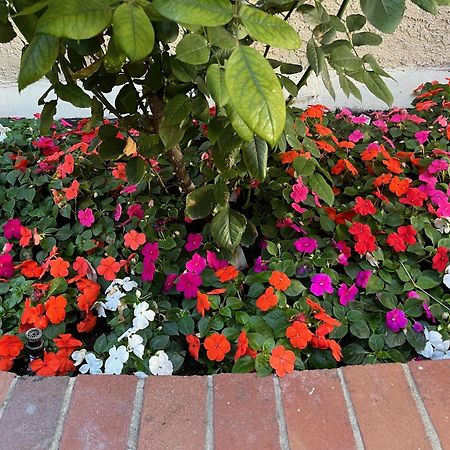 Laguna Inn And Suites San Juan Capistrano Dış mekan fotoğraf