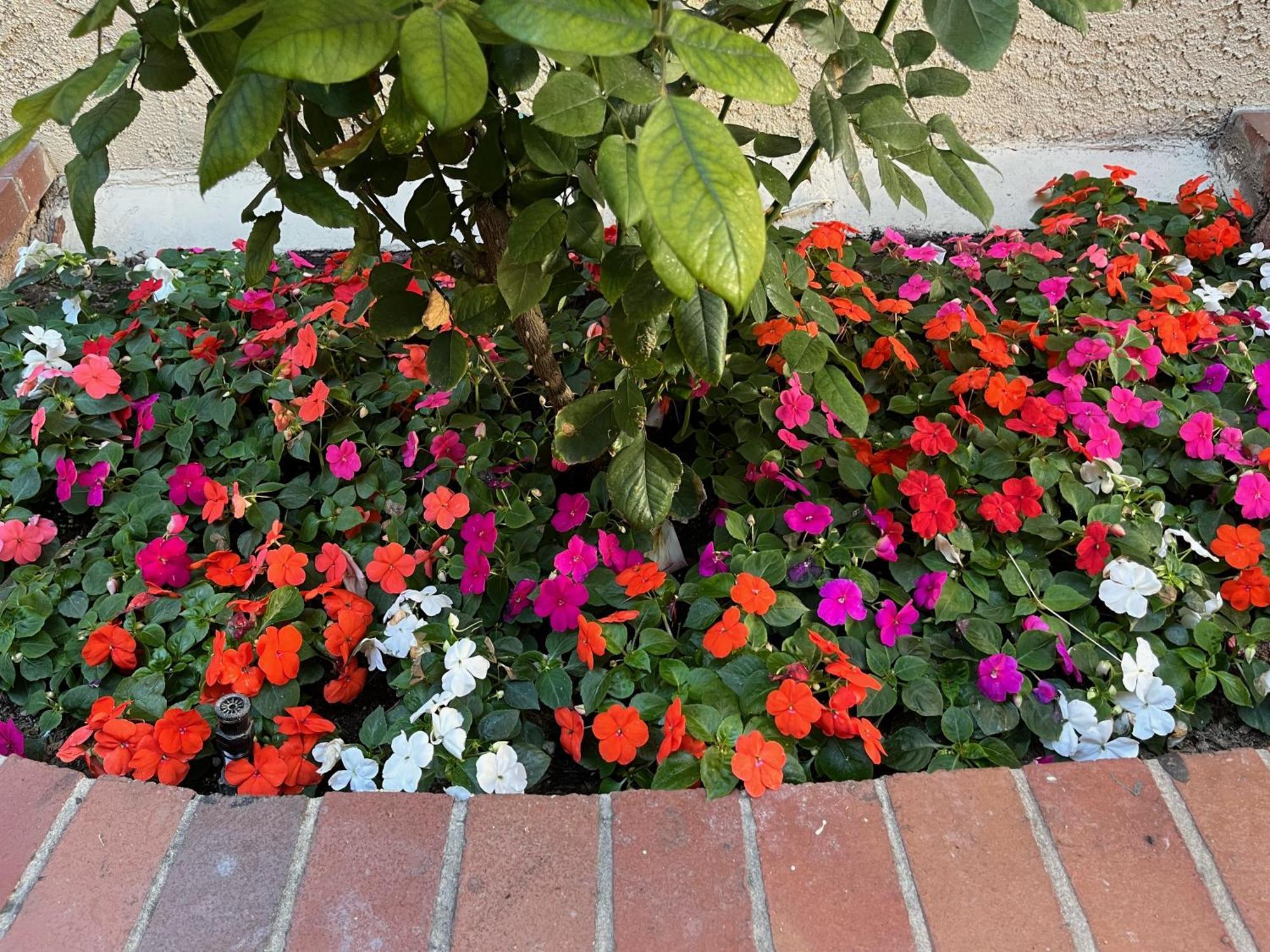 Laguna Inn And Suites San Juan Capistrano Dış mekan fotoğraf